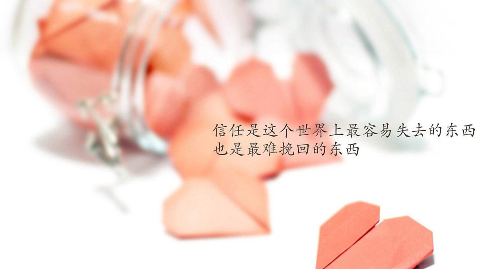 爱游戏中国官方登录入口网站-追梦之旅：年轻球员追逐冠军的心路历程，追梦nba是谁