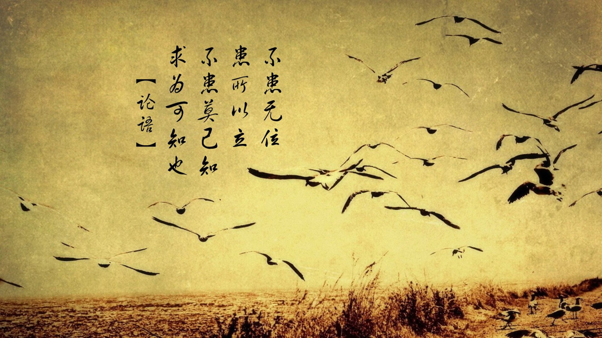 CBA联赛裁判技术评估体系研究，cba裁判机制