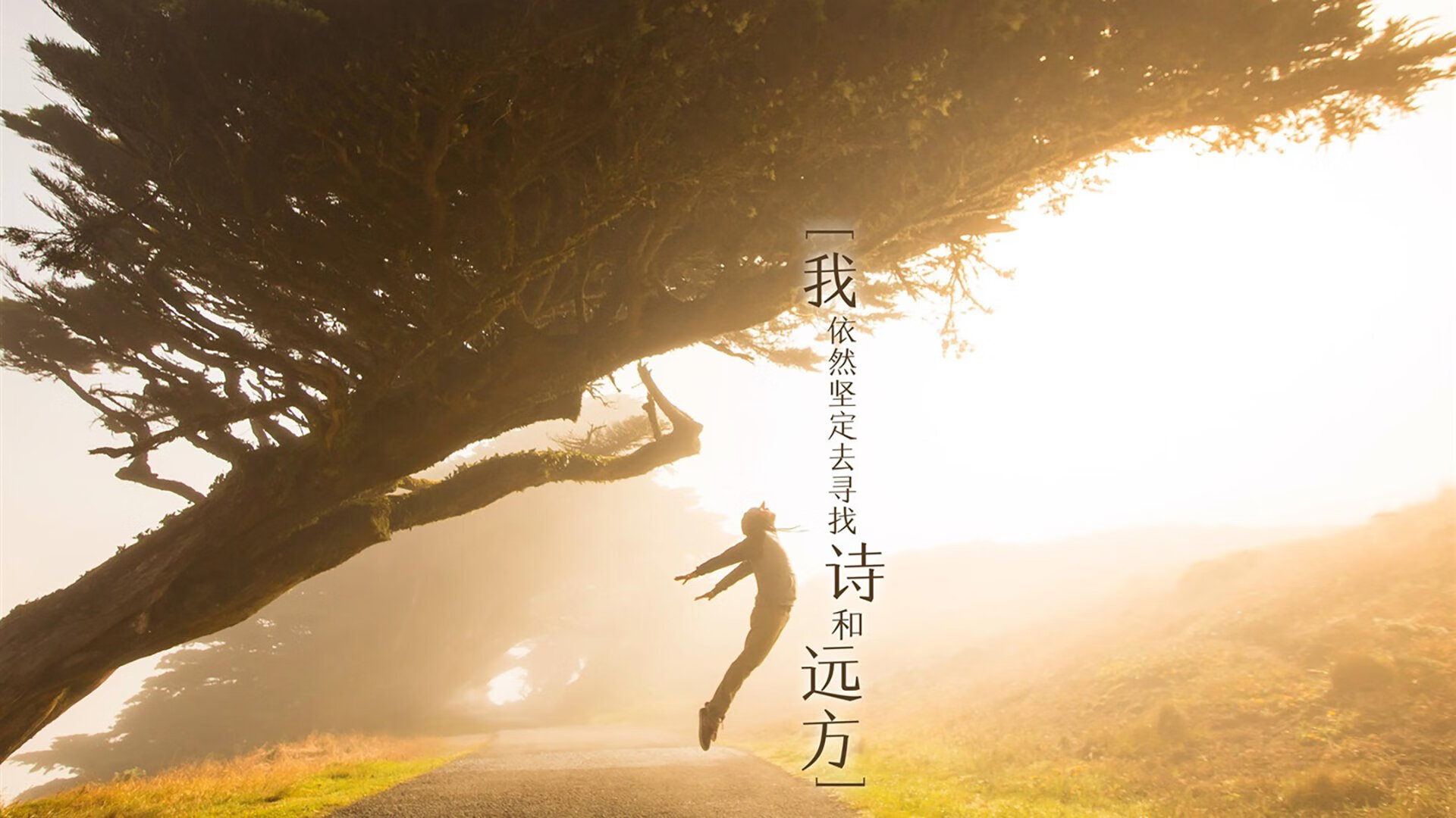 威尔士队实力堪称一绝！欧洲杯预选赛全面引爆！，欧洲杯 威尔士队