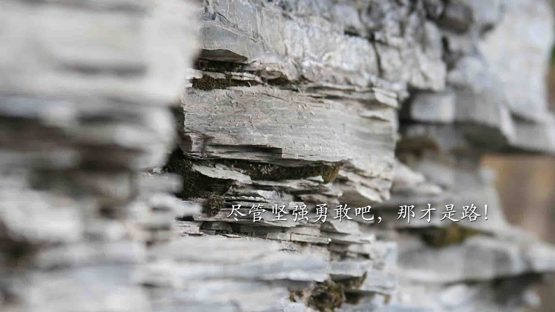 希腊女篮在欧洲锦标赛中再夺金，传统豪门永远不可战胜，希腊u20女篮